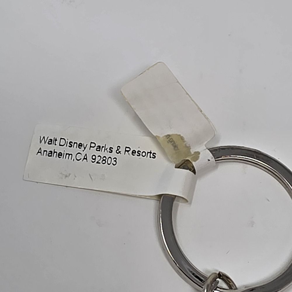 Disney Cruise Line DCL Pewter Key Chain with Cabin Door Fish from Magic & Wonder - Picture 9 of 11